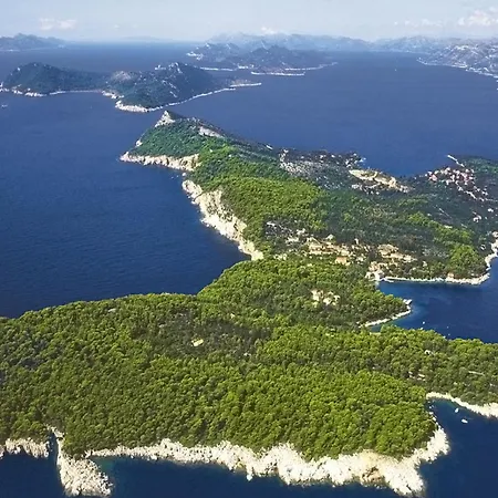 Villa In Near Dubrovnik With Pool Čilipi