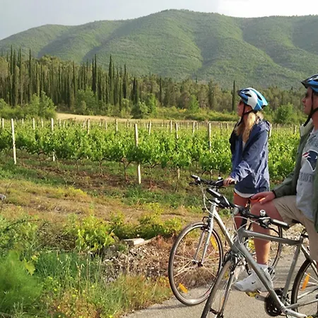 Villa In Near Dubrovnik With Pool *