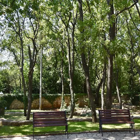 In Near Dubrovnik With Pool Villa Čilipi